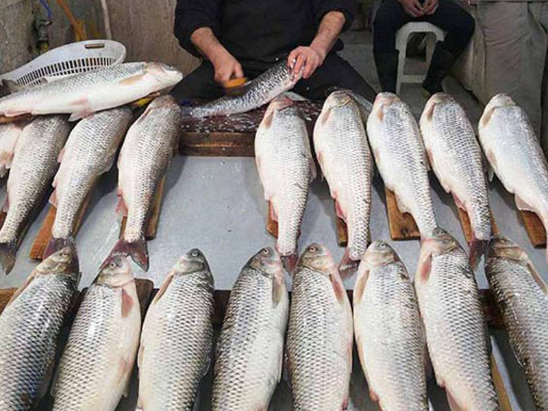 معرفی مراکز خرید رامسر - بازار ماهی فروشان